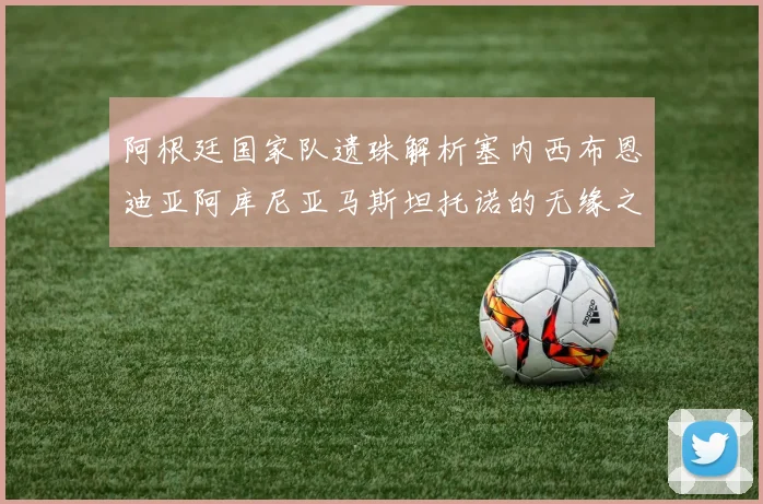 阿根廷国家队遗珠解析塞内西布恩迪亚阿库尼亚马斯坦托诺的无缘之路
