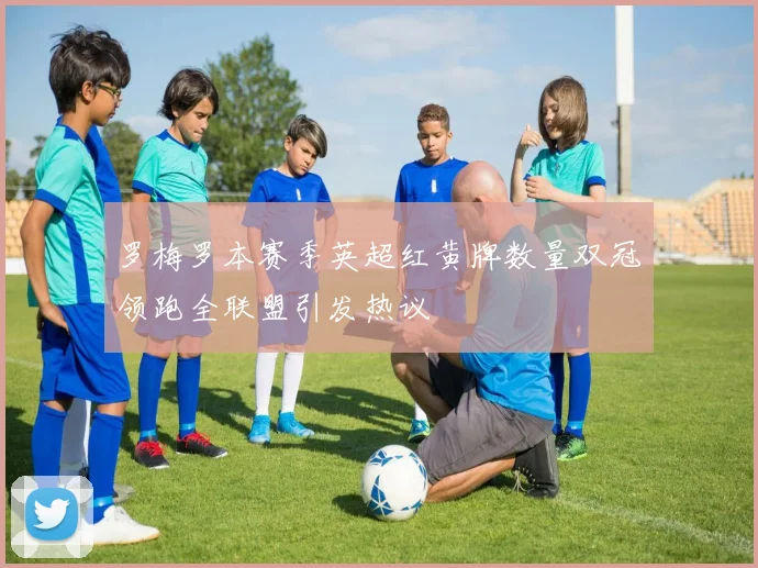罗梅罗本赛季英超红黄牌数量双冠领跑全联盟引发热议