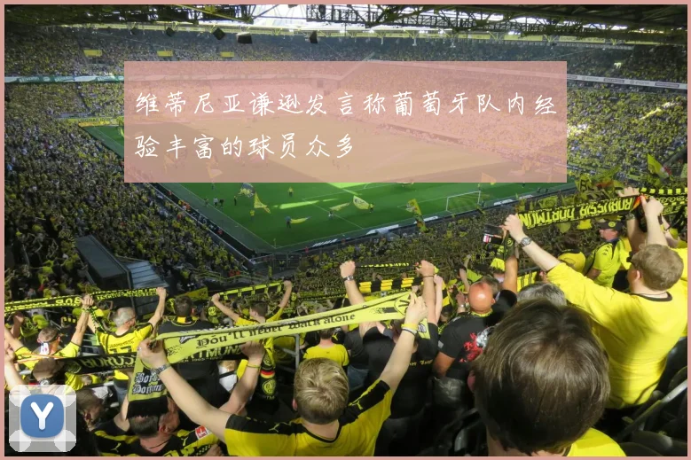 维蒂尼亚谦逊发言称葡萄牙队内经验丰富的球员众多